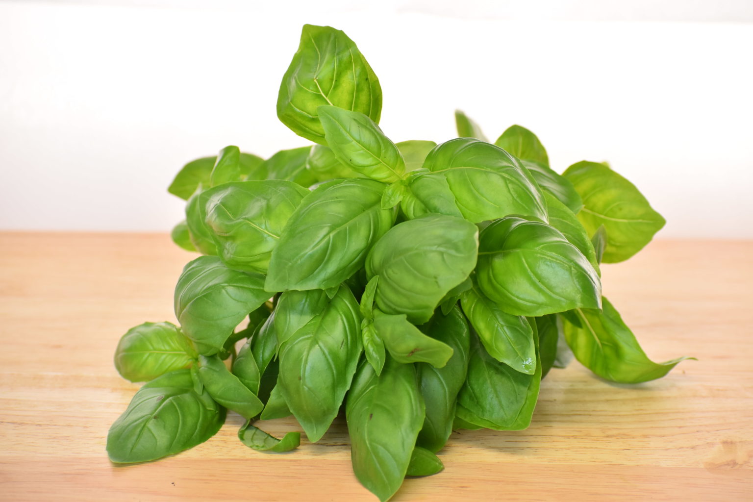 Basil potted Riverlea