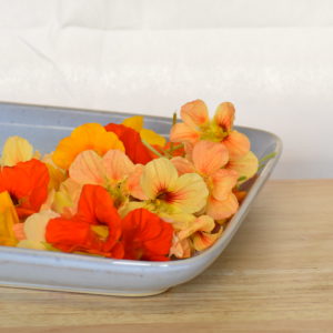 Edible Flowers- Nasturtiums - Punnet